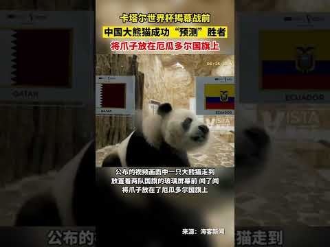 鹈鹕队连续,七战失利,湖人蓄势待,OD体育官网,OD体育直播,体育赛事直播,足球直播